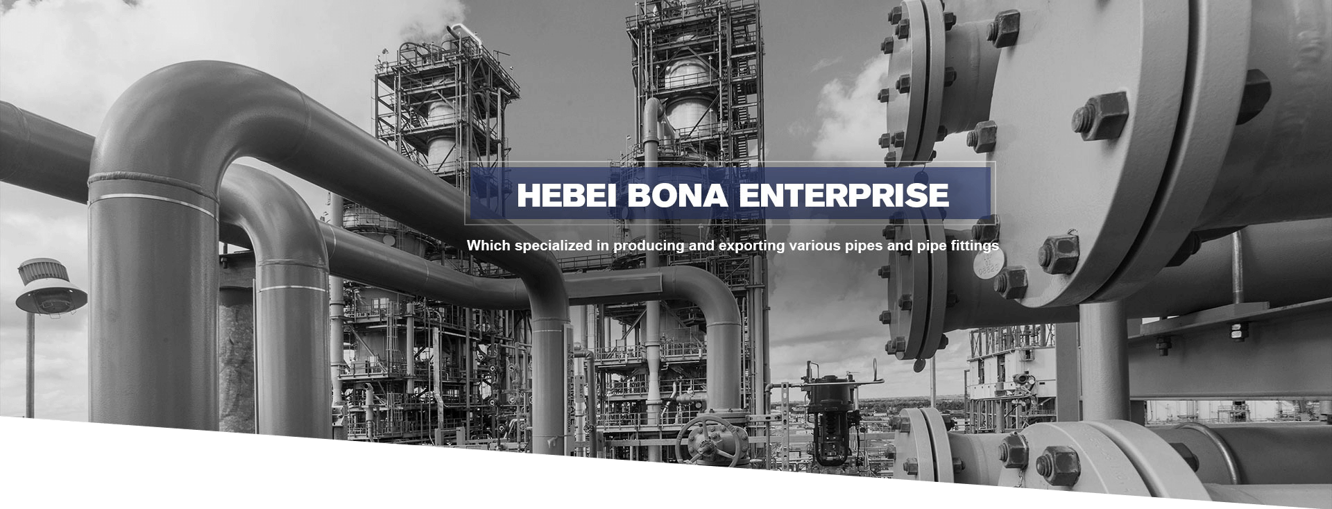 Hebei Bona Enterprise